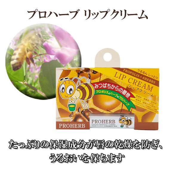 プロハーブ　リップクリーム