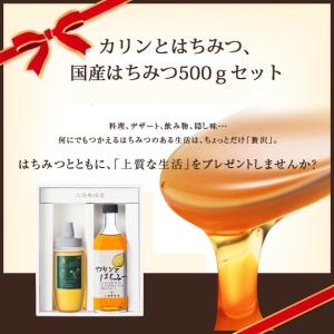 カリンとはちみつ、国産はちみつ500ｇセット