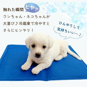 ペット 冷感 クールマット ジェルマット 夏 ...の詳細画像2