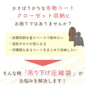 吊るせる 衣類圧縮袋 10枚入 ハンガー 吊り...の詳細画像1