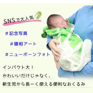 おくるみ 白菜 はくさい ベビー 赤ちゃん 新...の詳細画像1
