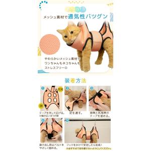 お盆も出荷中 グルーミング ハンモック 抜け出...の詳細画像3