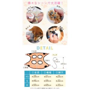 お盆も出荷中 グルーミング ハンモック 抜け出...の詳細画像4