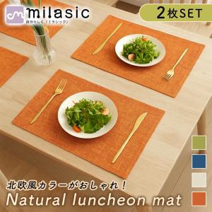 北欧風 ランチョンマット 2枚セット おしゃれ 布 二層構造 46×30cm 厚手 高級感 カラー 和風 洋風 ポイント消化