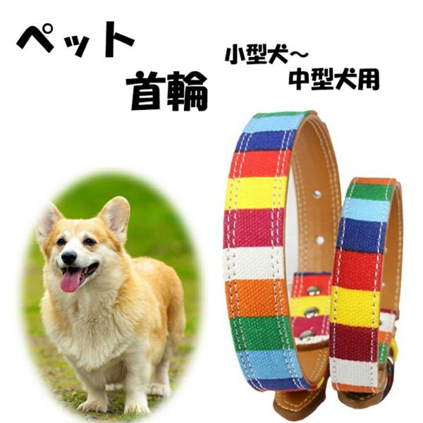 犬 首輪 Sサイズ Mサイズ 犬首輪 犬の首輪 犬用 おしゃれ カラフル かわいい 小型犬 中型犬 ...