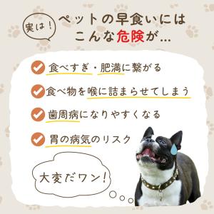 Yahoo!1位受賞! 犬 早食い防止 食器 ...の詳細画像4