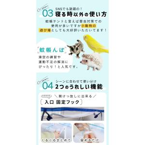 Yahoo!1位受賞 蚊帳 テント 一人用 ペ...の詳細画像5