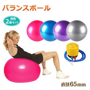 バランスボール 65cm 【2個セット】 空気入れ フットポンプ付き エクササイズボール バランス ボール エクササイズ ダイエット トレーニング｜ER-BLBL65_2M｜oobikiyaking