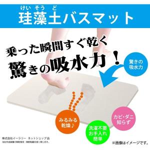 珪藻土バスマット Lサイズ けいそうど 足拭きマット 消臭 湿度 調整 カビ ダニ 抑制｜oobikiyaking