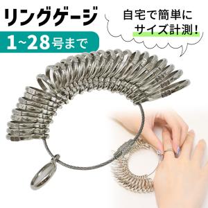 リングゲージ セット サイズゲージ 指輪 サイズ 測る道具 測り方 1号から28号まで 金属製 指輪ゲージ ポイント消化