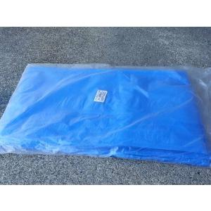 ブルーシート 10m×10m 2枚入 送料無料...の詳細画像1