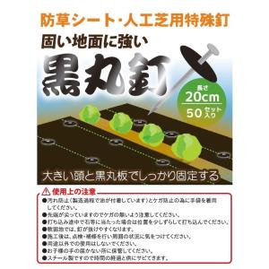 防草シート押え 黒丸釘 50本セット 20cm...の詳細画像1