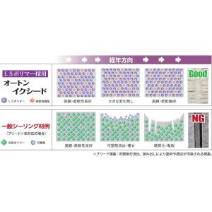 オート化学工業 オートンイクシード 6L×2缶...の詳細画像1