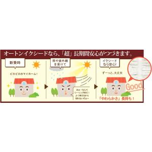 オート化学工業 オートンイクシード 6L×2缶...の詳細画像3