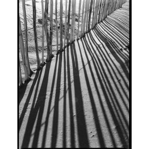 Kodak 白黒ネガフィルム トライ-X400...の詳細画像4