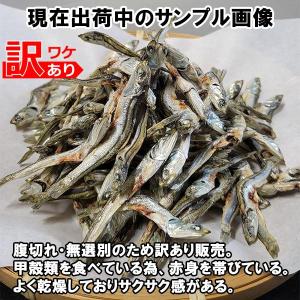 伊吹島沖産 訳あり煮干いりこ 2袋セット ダシ...の詳細画像2