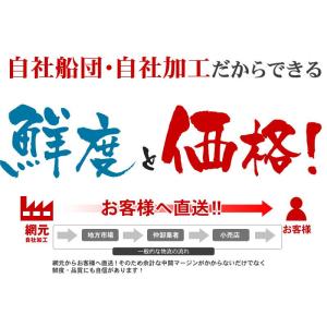 伊吹島沖産 訳あり煮干いりこ 2袋セット ダシ...の詳細画像4
