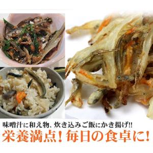 伊吹島沖産 訳あり煮干いりこ 2袋セット ダシ...の詳細画像5