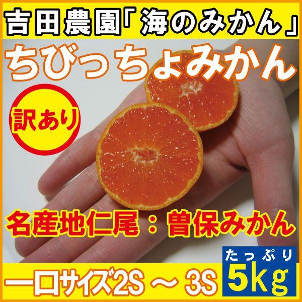 ちっちゃい一口サイズ♪ちびっちょみかん5kg