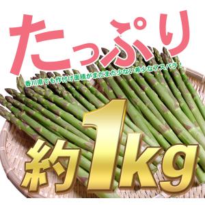 LYP会員限定価格 海のグリーンアスパラガス ...の詳細画像1