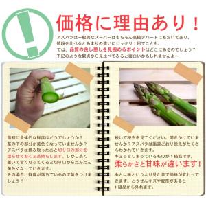 LYP会員限定価格 海のグリーンアスパラガス ...の詳細画像3