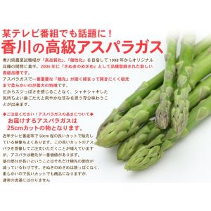 LYP会員限定価格 海のグリーンアスパラガス ...の詳細画像5