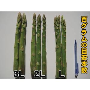 さぬきのめざめ アスパラガス 極太サイズ 2L...の詳細画像2