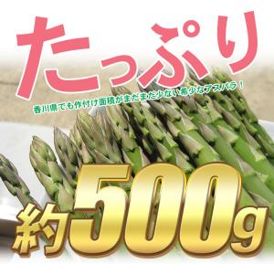 海のグリーンアスパラガス「さぬきのめざめ」50...の詳細画像1