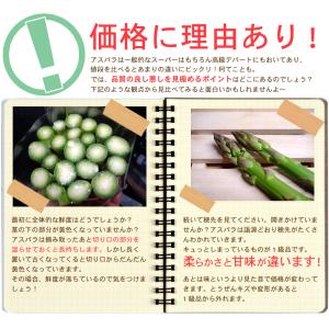海のグリーンアスパラガス「さぬきのめざめ」50...の詳細画像2