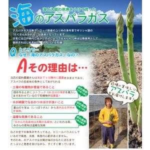 海のグリーンアスパラガス「さぬきのめざめ」50...の詳細画像3
