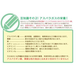 海のグリーンアスパラガス「さぬきのめざめ」50...の詳細画像4