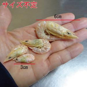 瀬戸内産 パリパリ干しえび 25g2袋 干し海...の詳細画像2