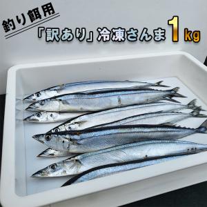 釣り餌用 訳あり 冷凍さんま1kg 食用不可