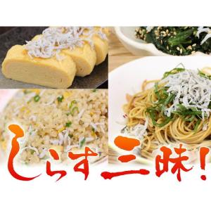 瀬戸内の釜揚げしらす500g 国産 無添加 無...の詳細画像4