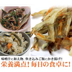 訳あり煮干しいりこ 200g 1袋 瀬戸内海伊...の詳細画像5