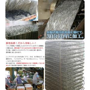 訳あり煮干しいりこ 200g 1袋 瀬戸内海伊...の詳細画像3
