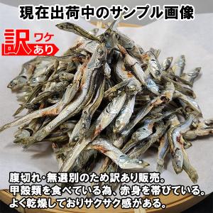 訳あり煮干しいりこ 200g 1袋 瀬戸内海伊...の詳細画像2