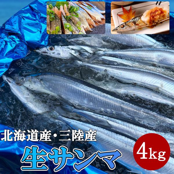 北海道もしくは三陸産 生さんま 4kg 28-32尾入 刺身で食べれる新鮮さんま