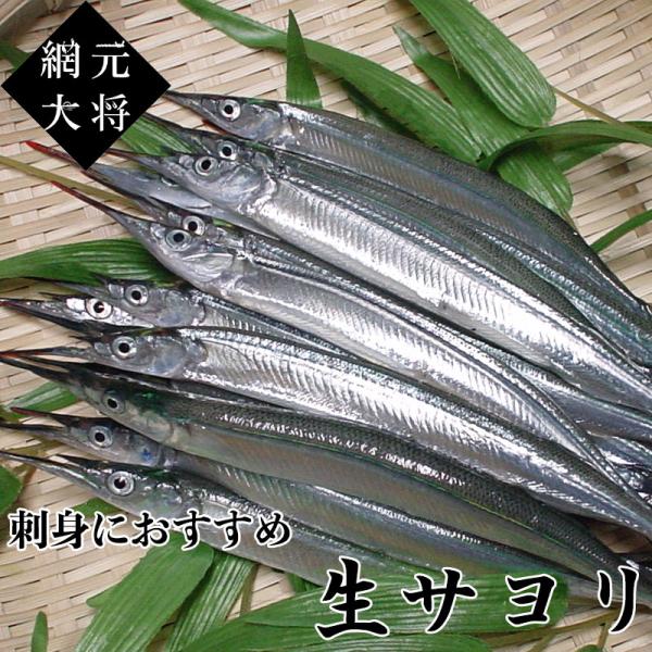 香川県産 鮮魚さより１kg 刺身におすすめ