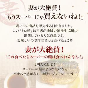 妻が大絶賛の無塩トロさばフィレー 訳あり品 約...の詳細画像2