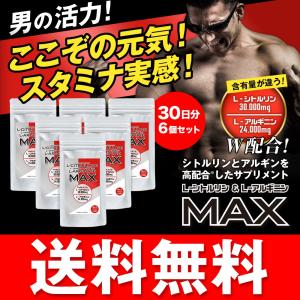 シトルリン アルギニン サプリメント 圧倒的な含有量サプリ Ｌ-シトルリン＋Ｌ-アルギニンＭＡＸ 30日分 240粒入×6個セット 送料無料｜ooii