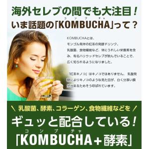 コンブチャ + 酵素ドリンク KOMBUCHA...の詳細画像3