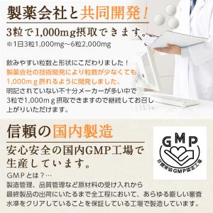 国産 L-リジン1000【1ヶ月分/3袋】 L...の詳細画像3