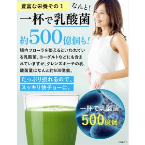 ダイエット スムージー 大容量 200g クレ...の詳細画像4