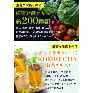 ダイエット スムージー 大容量 200g クレ...の詳細画像5
