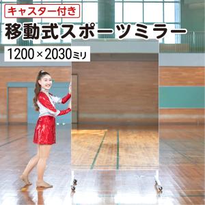 大型ミラー　姿見　H1900×W595×D25 楽天市場】玄関姿見ミラー W900×H1800 厚み5mm 取付部材セット 壁掛け