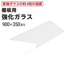 ガラス棚板用 透明強化ガラス W900×H300×T5mm 規格サイズ 安全 硝子