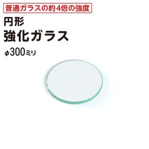 ガラス棚板用 透明ガラス W600×H300×T5mm 規格サイズ 硝子 カット