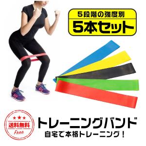 トレーニングチューブ エクササイズバンド トレーニングバンド 筋トレ ストレッチバンド ゴムチューブ 背筋 在宅 ダイエット｜ookami