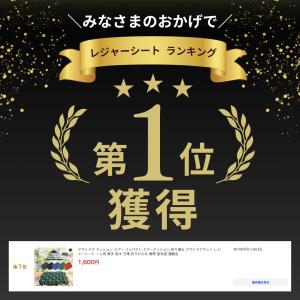 アウトドア クッション エアー コンパクト エ...の詳細画像1